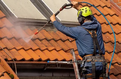 Démoussage et hydrofuge de toiture à Romagnieu